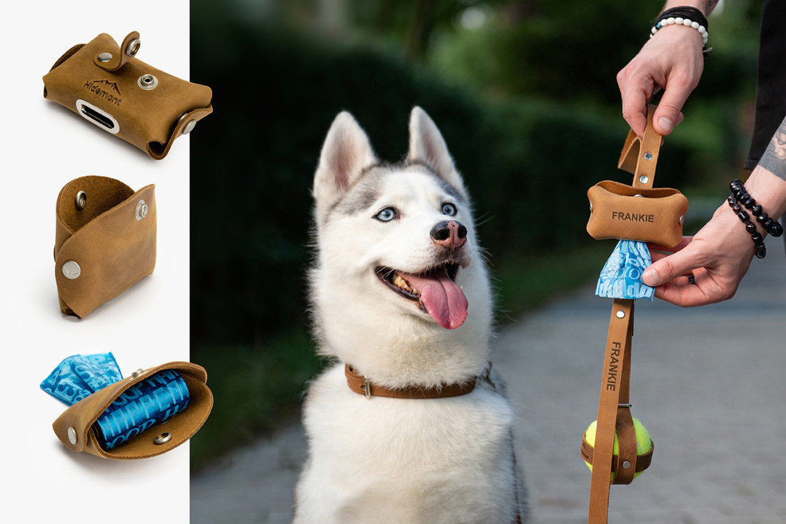 Why It's Important to Clean Up After Dogs?