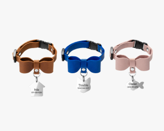 Breakaway Cat Collar