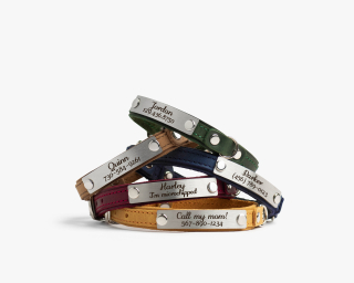 Personalized Leather Cat Collar