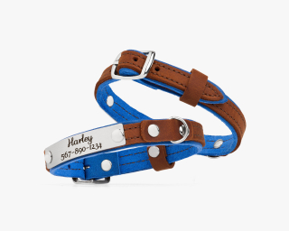 Cat Collar, Sapphire + Cognac