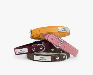 Leather Small Breed Dog Collar