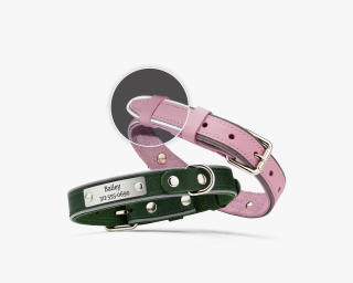 Reflective Leather Dog Collar