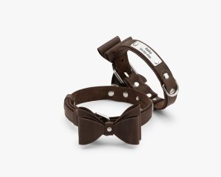 Leather Bow Tie Dog Collar, Size M In Espresso Color