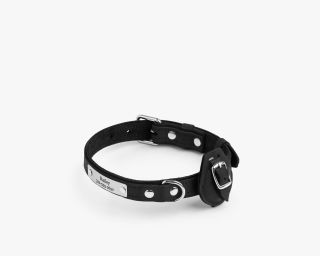 Leather AirTag Compatible Dog Collar, Size M In Black Color