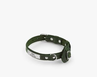 Leather AirTag Compatible Dog Collar, Size M In Evergreen Color