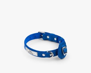 Leather AirTag Compatible Dog Collar, Size M In Sapphire Color
