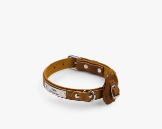 Leather AirTag Compatible Dog Collar, Size M In Canyon Color