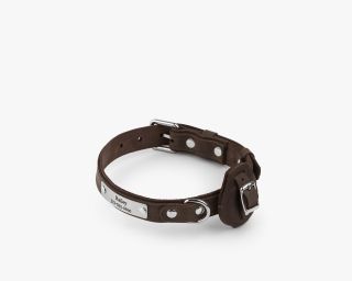 Leather AirTag Compatible Dog Collar, Size M In Espresso Color