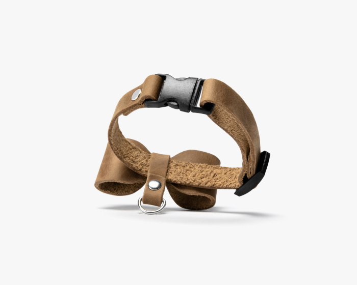 leather breakaway dog collar