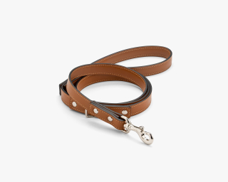 Personalized Leather Dog Leash