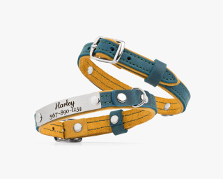 Cat Collar, Caramel + Ocean Blue