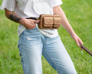 Dog bag for training