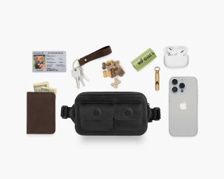 Dog Treat Crossbody Bag In Carbon Color