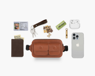 Dog Treat Crossbody Bag In Ginger Color