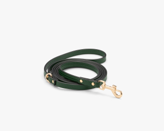 Leather Small Breed Dog Leash
