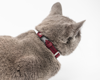 Breakaway Leather Cat Collar with ID Nameplate