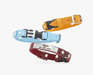 Breakaway Leather Cat Collar with ID Nameplate