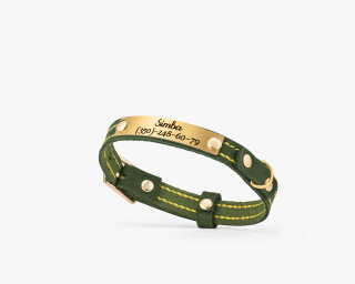 Personalized Leather Cat Collar In Gold Hardware