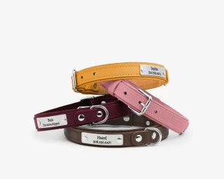 Leather Small Breed Dog Collar