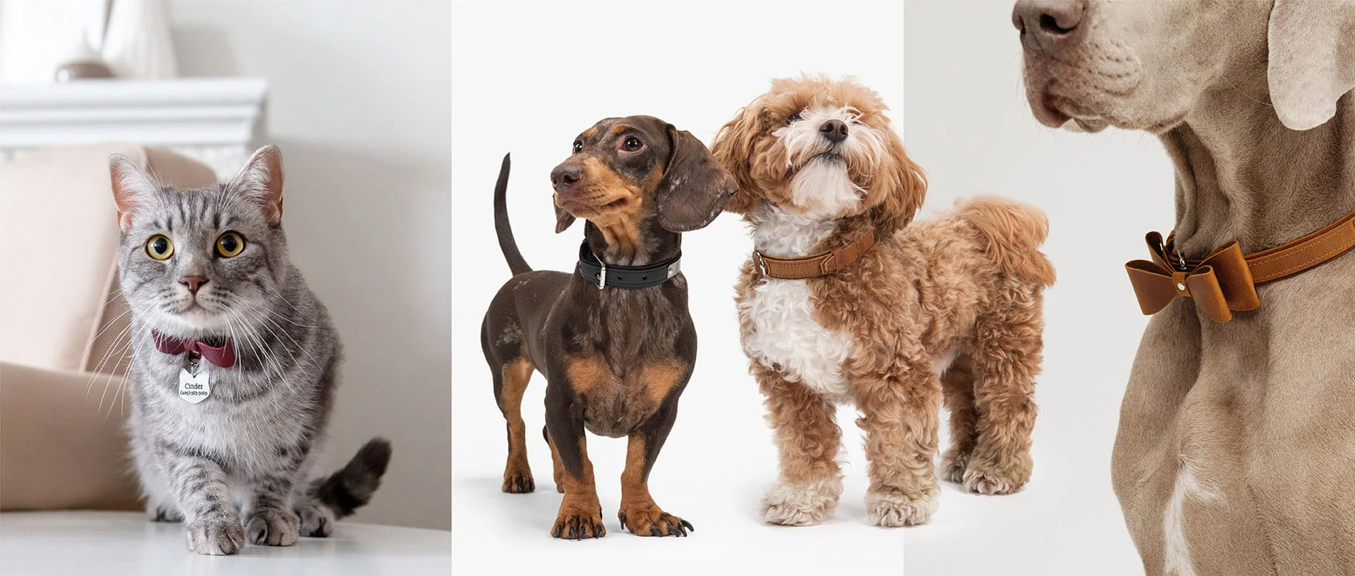 handmade leather pet accessories