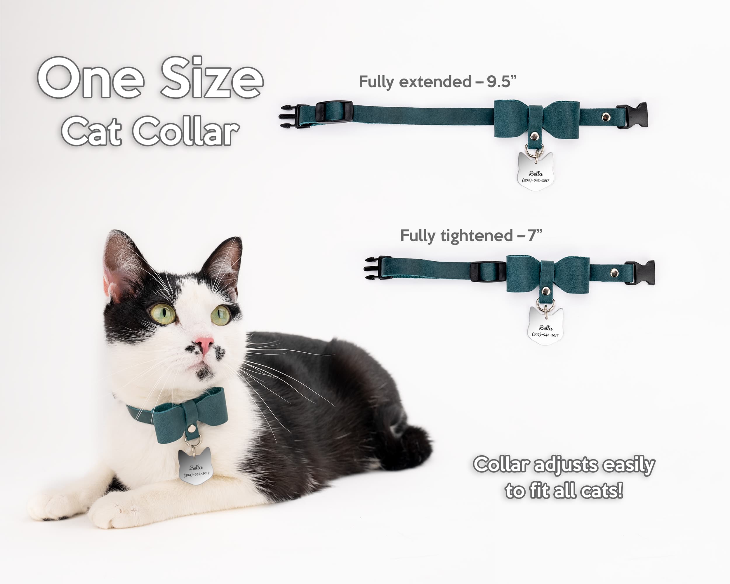 Fitting a cat clearance collar