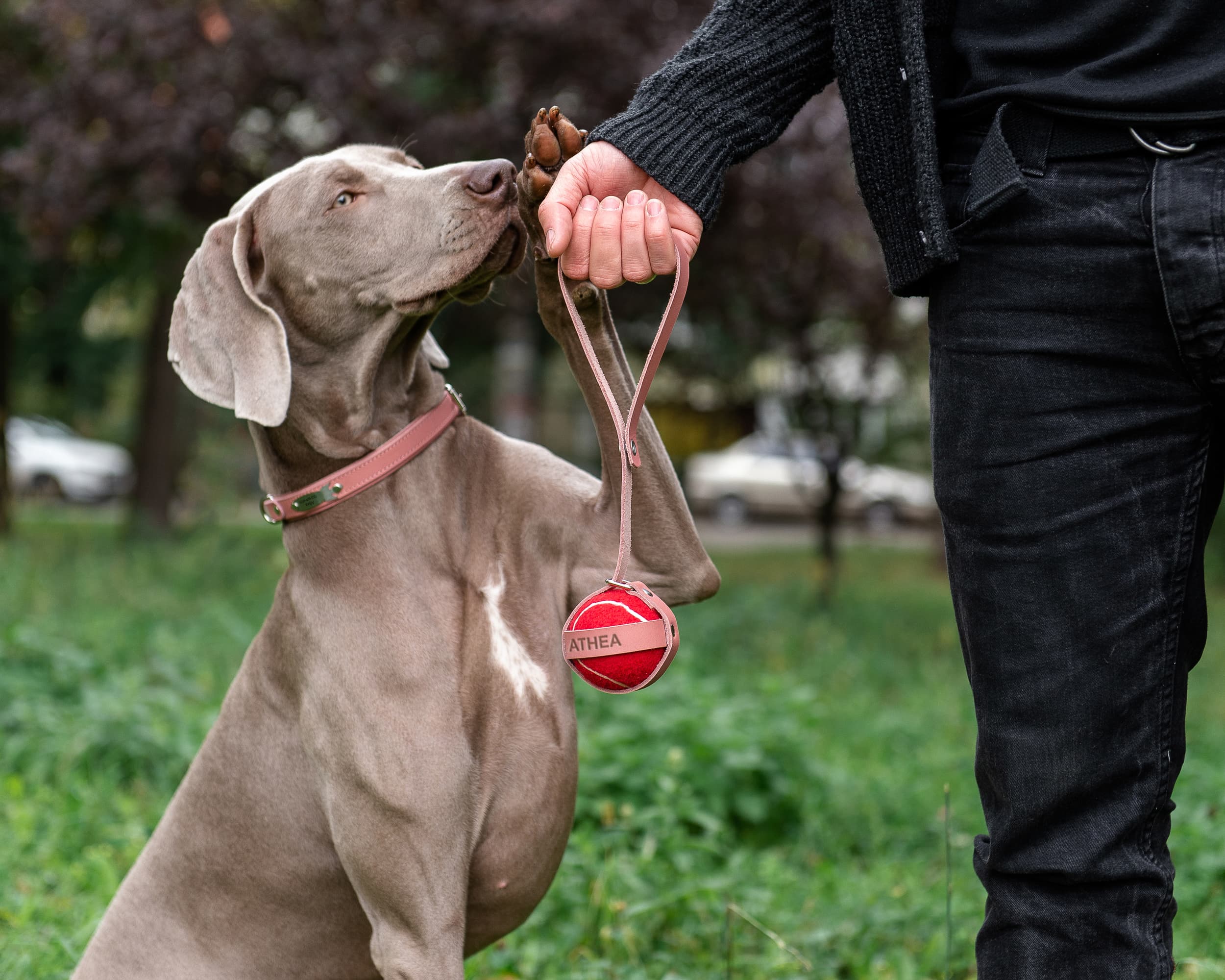 ball holder for dogs