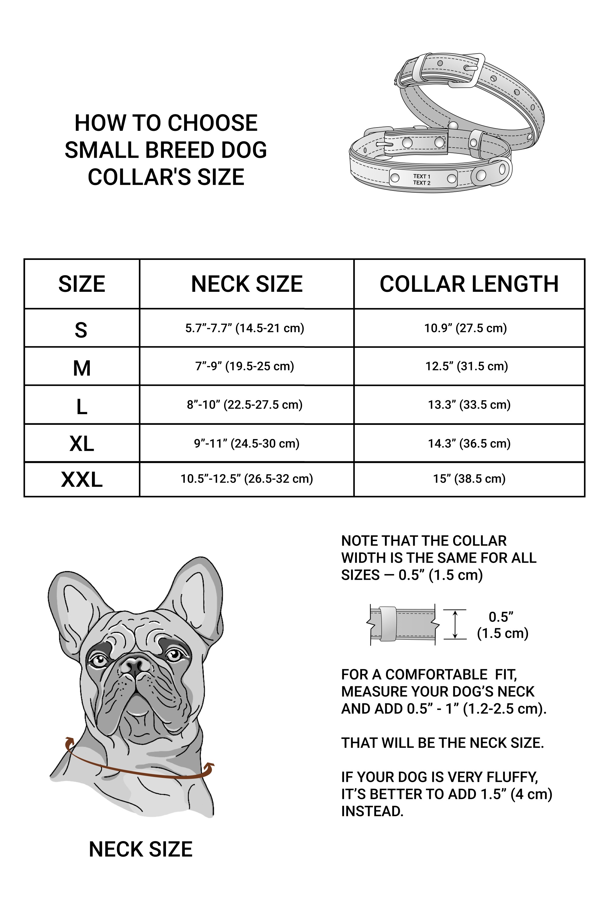 small dog breed 