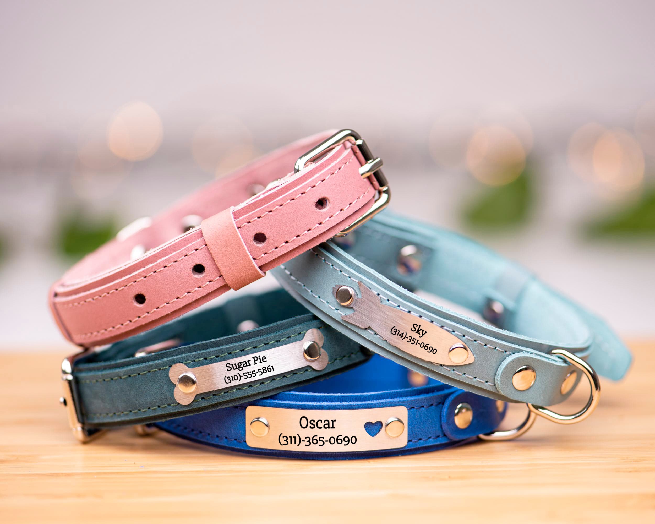 engraved dog collar