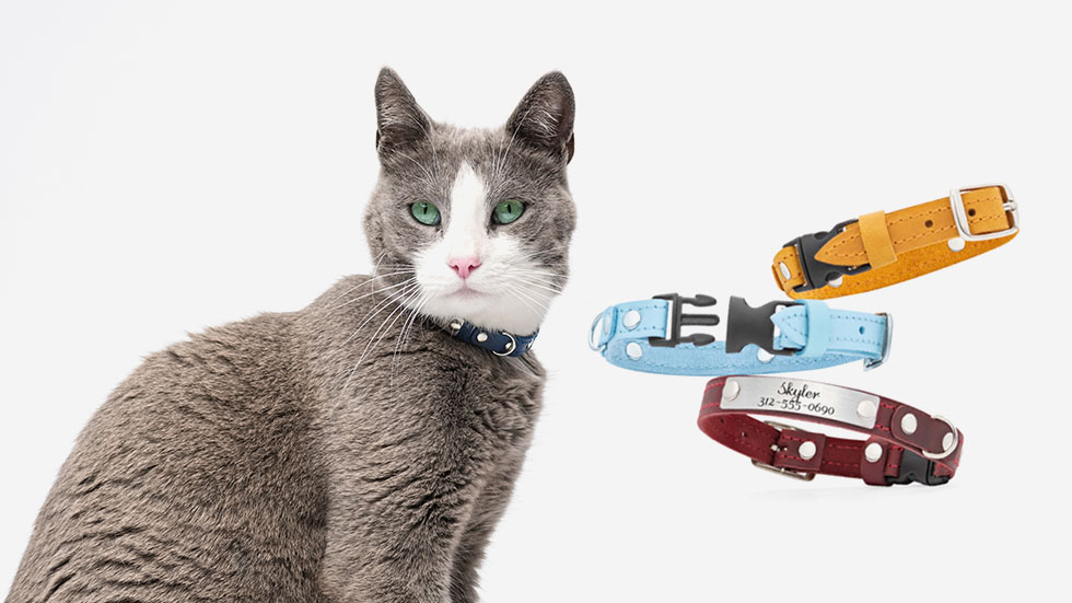 leather cat collar