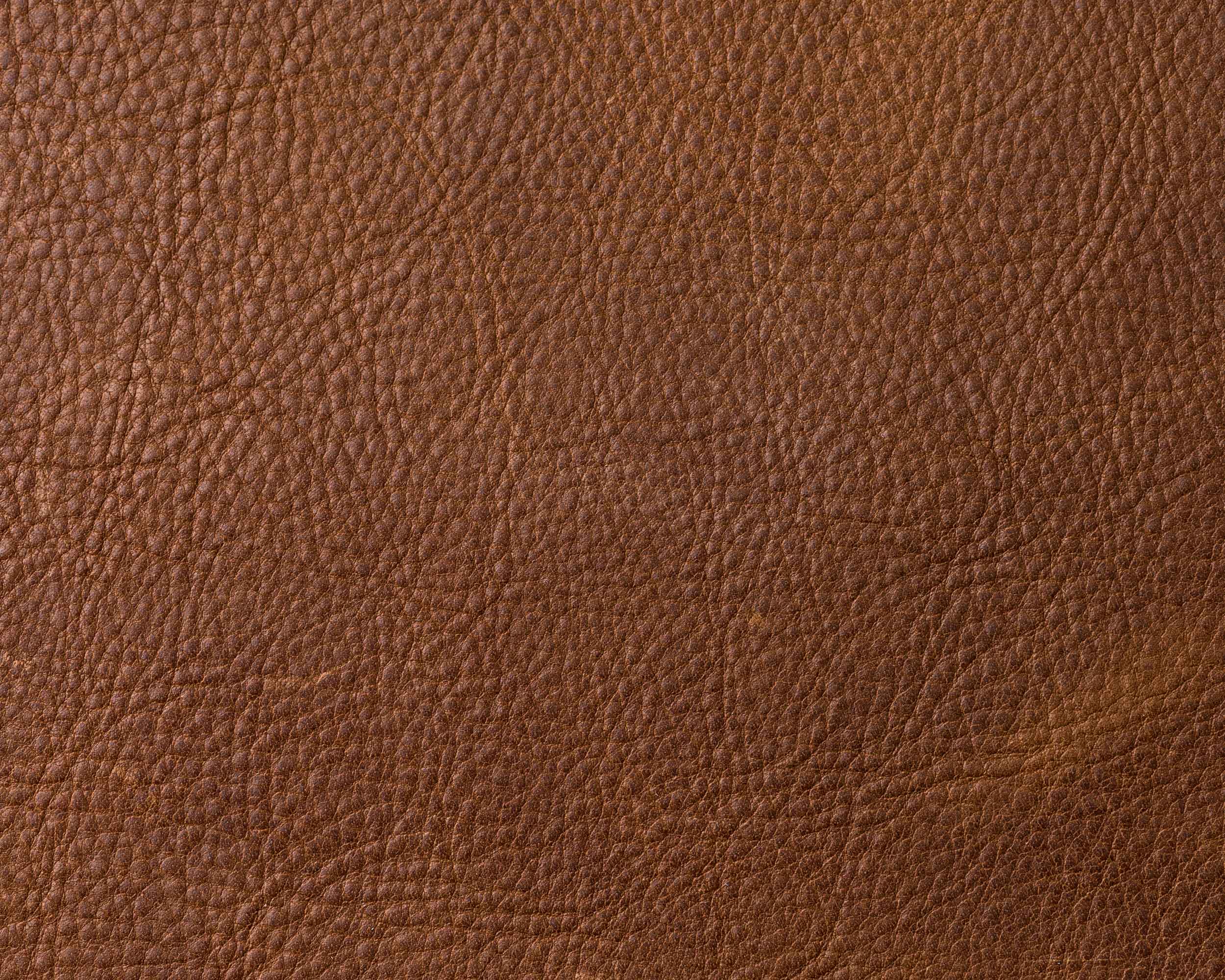 winter 2024 full grain leather trend