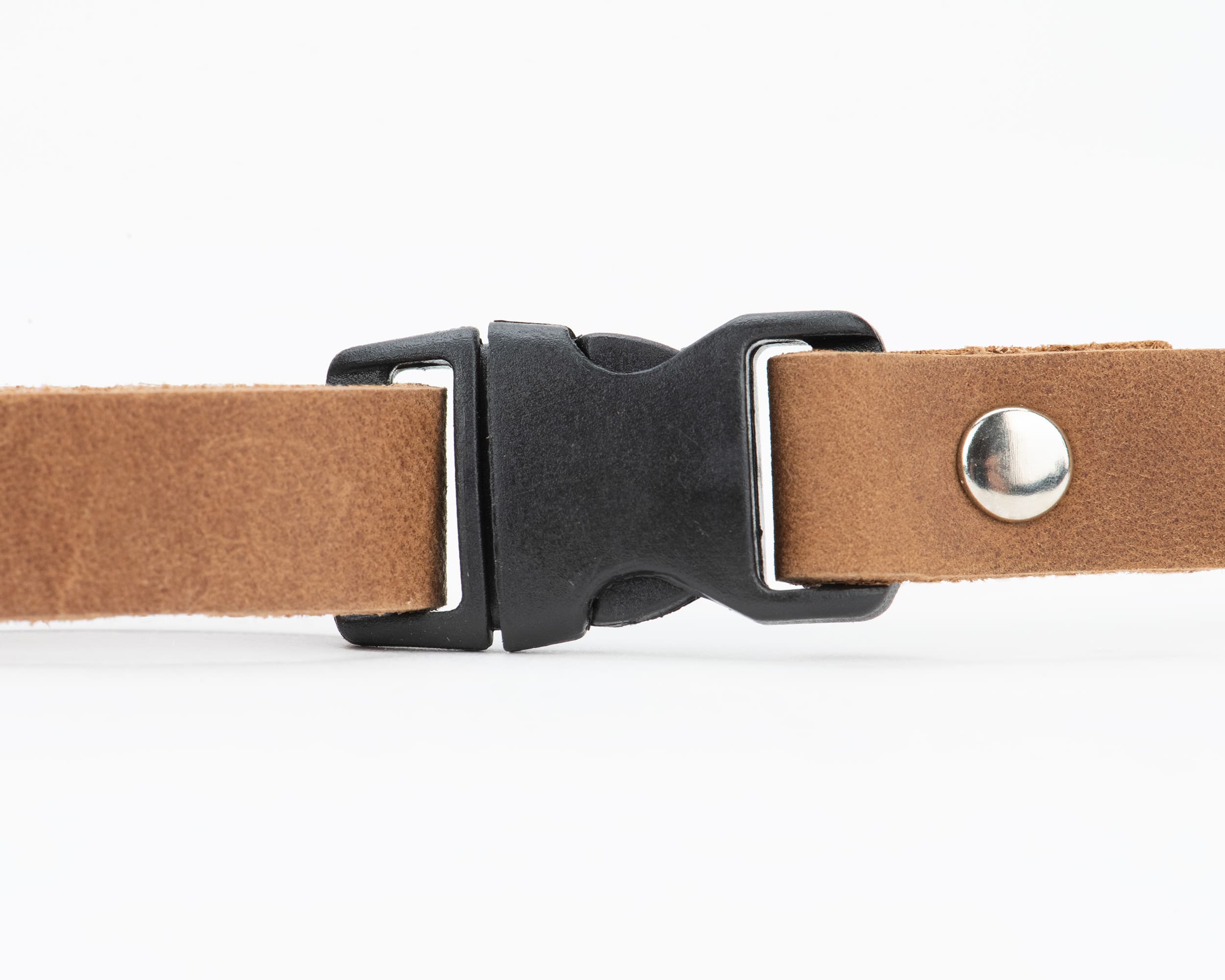 breakaway buckle cat collar