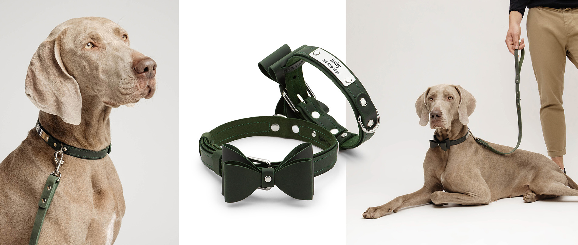 leather bowtie dog collar