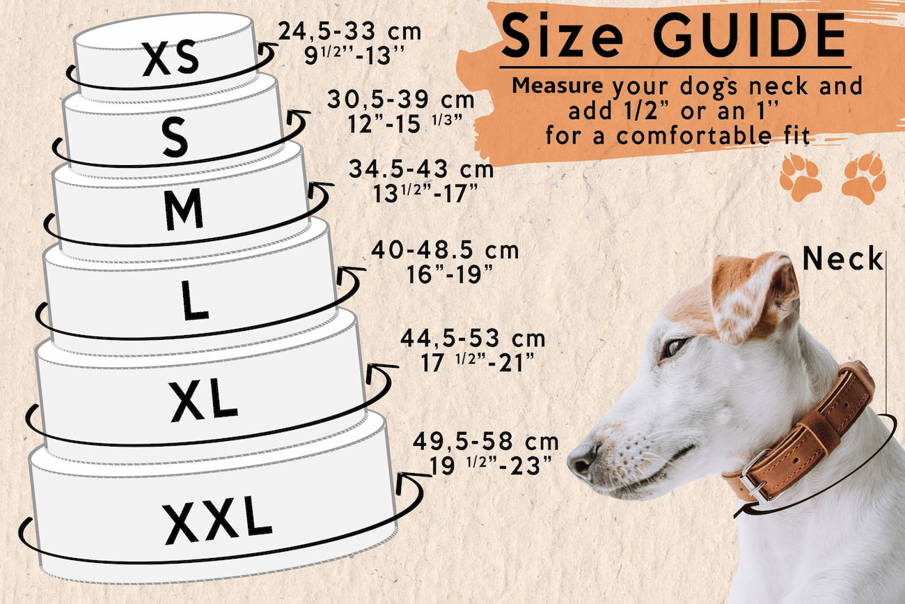 size guide of leather dog collars